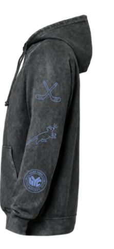 Icons Hoodie